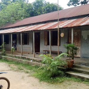 মডেল